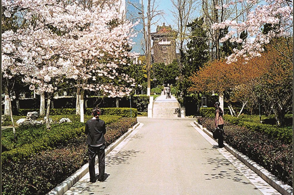 南京大学（中国）